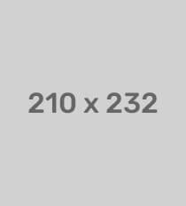 categories feature img