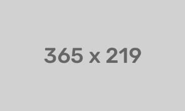 banner 1 electronic 7