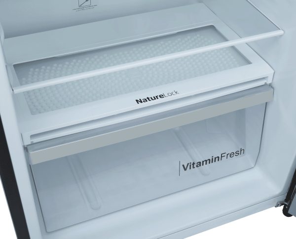 9191WB Avante+ Luxe Brown DOUBLE DOOR REFRIGERATOR